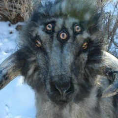 GOORX DNB SESSION 02