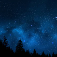 Late Night (Freedom is a Choice)