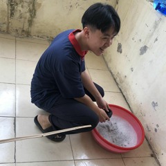 quả cà chua là tuyệt nhất