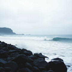 The Wave