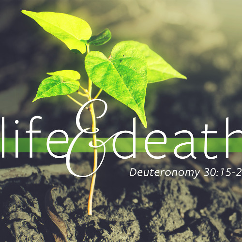SOTV Message Thirteenth Sunday After Pentecost C - "Life & Death" - Deuteronomy 30:15-20 - 9/7/25