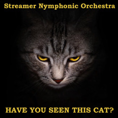 Streamer Nymphonic Orchestra- Have You seen this Cat?