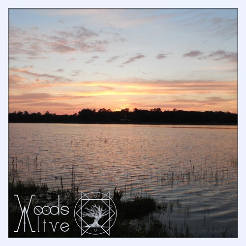 Start Again (Woods Alive Sessions Edit)