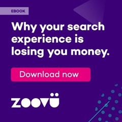 Your Search Experience is Losing You Money & What to do About it