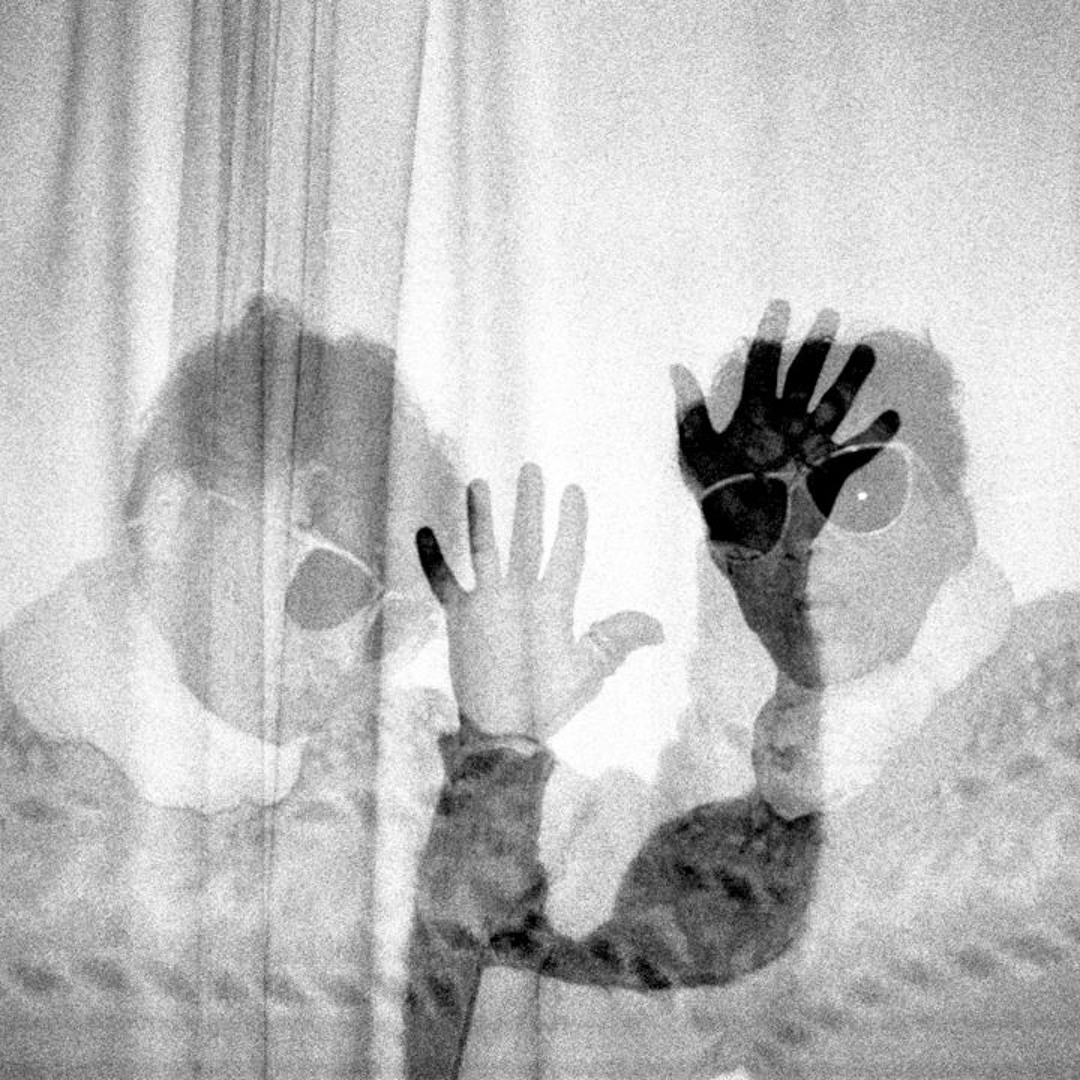 写真集 Liz Johnson Artur リズ・ジョンソン・アルトゥール Photographer Liz Johnson Artur: 30 years of capturing black