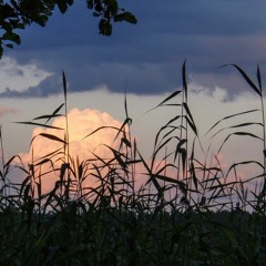 Jane air С тобой