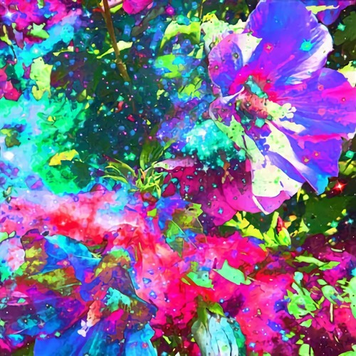 NSF-249-16 COZY (Stylized)