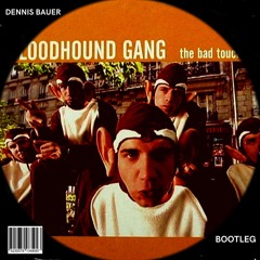 Bloodhound Gang - The Bad Touch (DENNIS BAUER BOOTLEG)