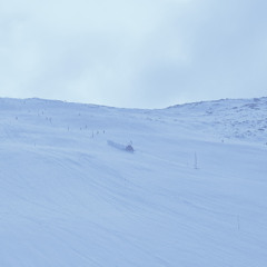 decay (ft. Before Grim)