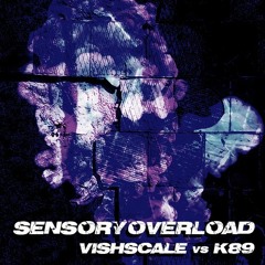 VISHSCALE vs K89 - Sensory Overload