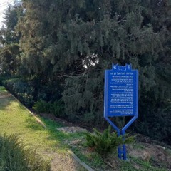 דמיון +ילדתי