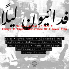 MOTZ Premiere: PANTERNOISE -  Don't Operate Heavy Machinery [Soft Chroma Recordings]