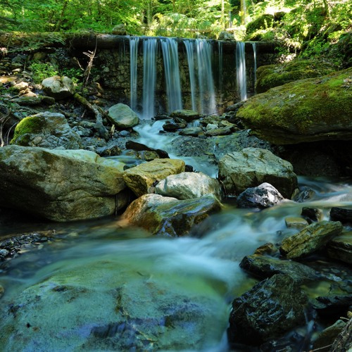 Stream Brownie Live 2025 No1 By Brownie Japon Listen Online For Free