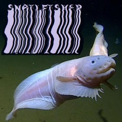 SNAILFISHER