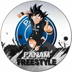 PANAM FREESTYLE EXTRAIT.mp3