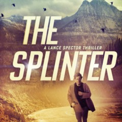DOWNLOAD eBook The Splinter American Assassin (Spy Thriller)