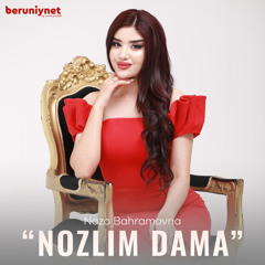 Nozlim dama