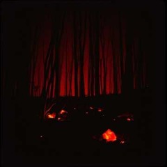 Lessons in Fire