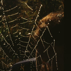 5.done(2023.10.22.last reversal)