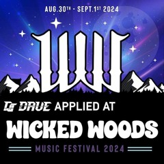 Wicked Woods Music Festival Submission 2024