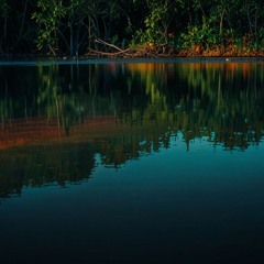 Mysteries Of The Mangrove (Mix01)