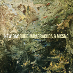 BuddhaBarracuda x MXSNC - NEW DAY