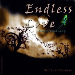 Endless love 3