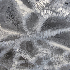 Svarv