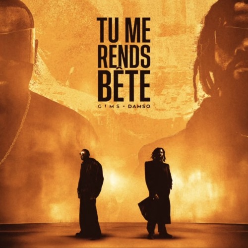 Tu me rends bête [SPEED UP] - GIMS & Damso
