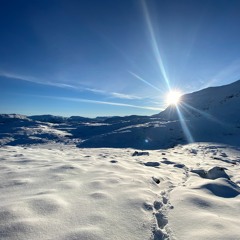 A New Beginning