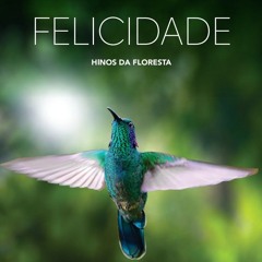 25 - Eu Fiz Muitas Viagens - Flávio Passos Sérgio & Negri.mp3