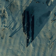 MONSTERS I'VE BEEN HIDING Nº3