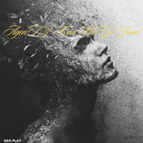 AgenT-Z-Can We Go Back