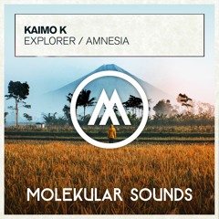 Kaimo K - Amnesia