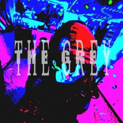 The Grey (feat. Gotzzy) (prod. Gotzzy)