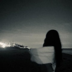 dont fly away (prod. beryl)