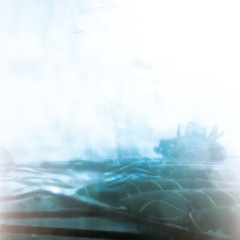 Held - Land To Rehabilitate