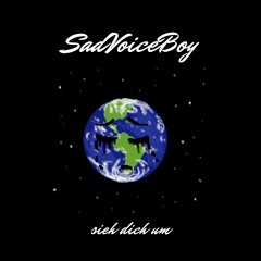 SadVoiceBoy - Sieh dich um