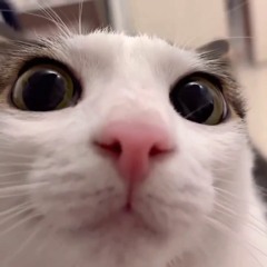 You' Don't Know Me · CodeMizukku