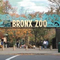 15 Best +14 Free Bronx Zoo Star Attractions Ideas Tour