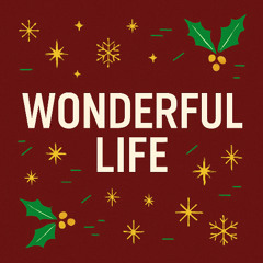 WonderfulLife - Album Version