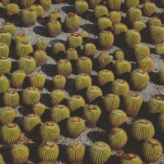 The Great Nothing Feat. Suiix - Edit