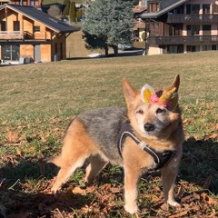 CAF? invite - GANJ ep32 — GANJ