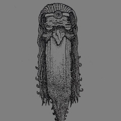 Corvus Cornix