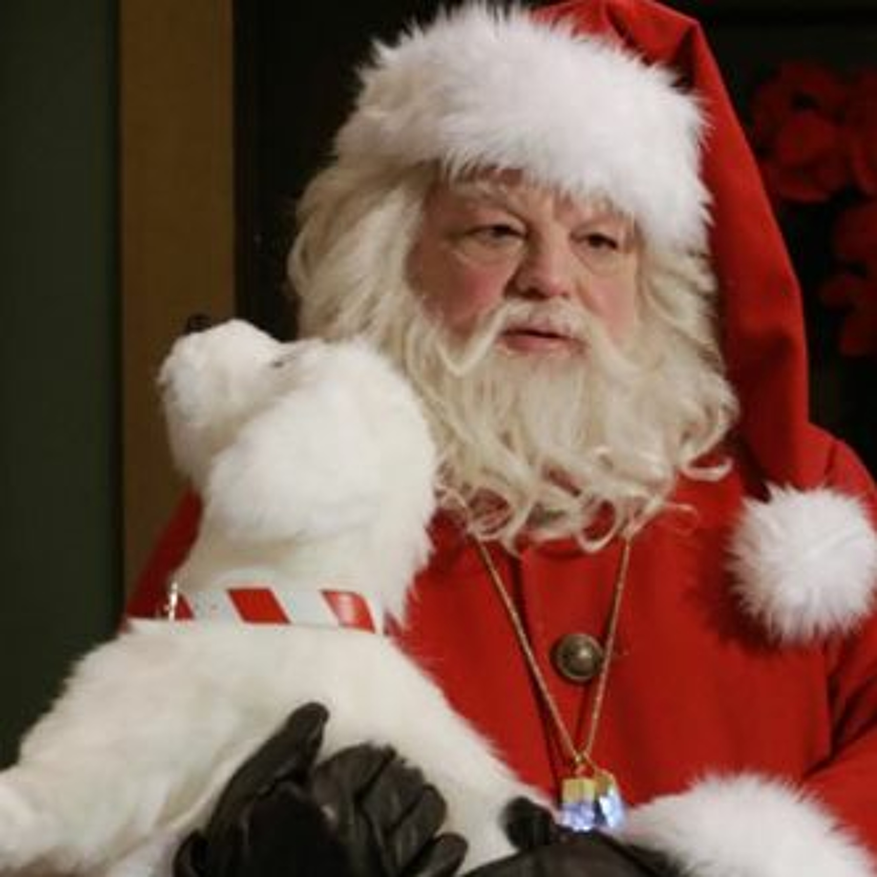 THE SEARCH FOR SANTA PAWS