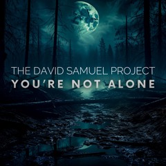You're Not Alone - David Samuel