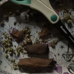 black spade prod grosxs7