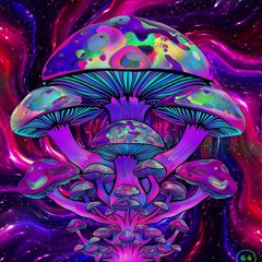 Bad Trip