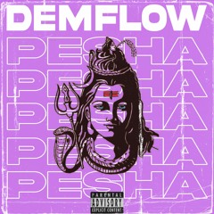 DemFlow - Pesha