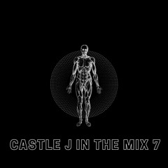 Castle J in the Mix 7